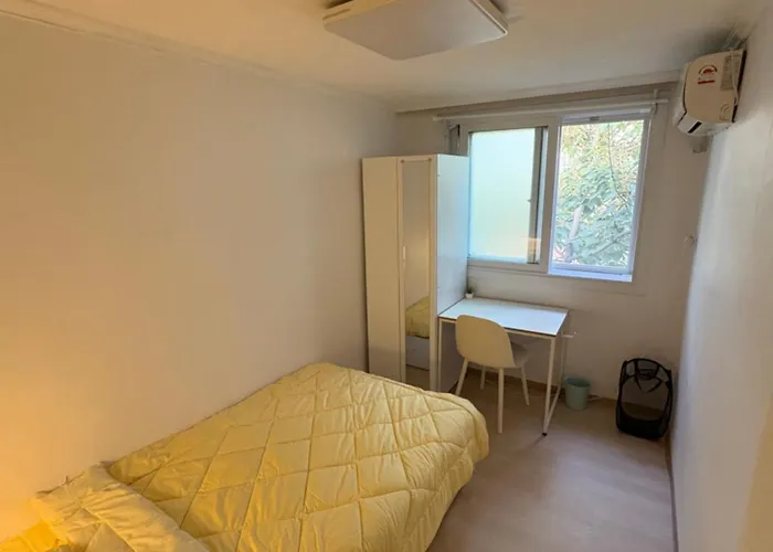 Selene Hapjeong Woman Only Share House ゲストハウス *