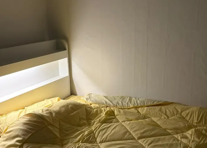 Selene Hapjeong Woman Only Share House * ソウル特別市
